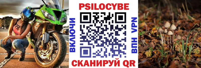 Галлюциногенные грибы Psilocybine cubensis  кракен ссылки  Выкса  купить  сайты 